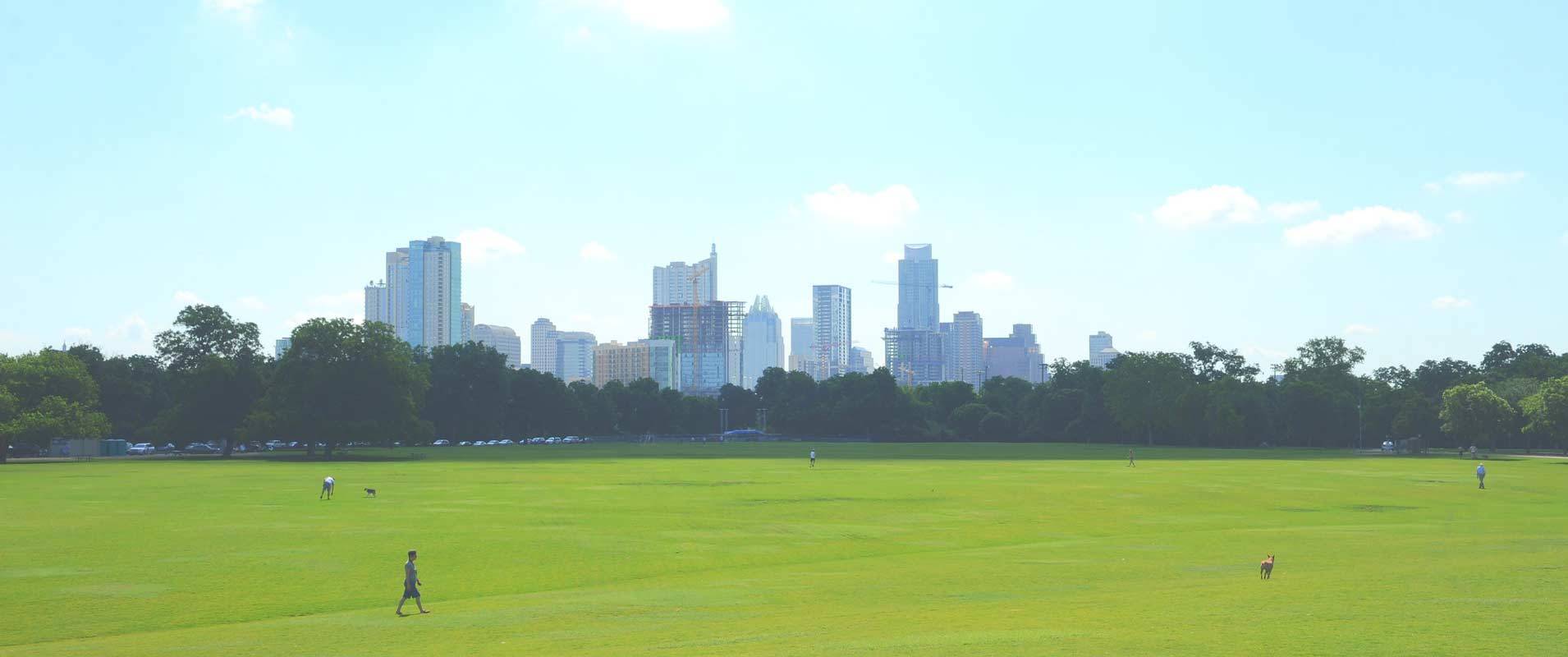 A Landscape in Austin